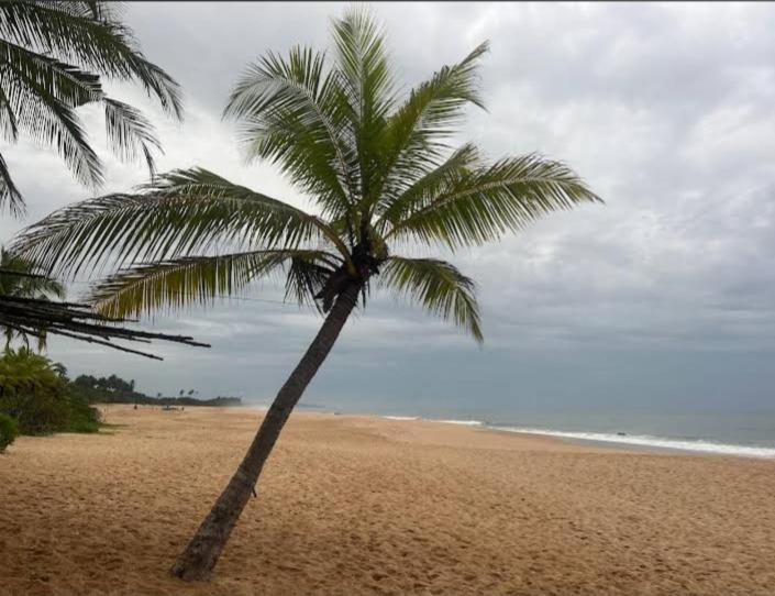 Hotel Golden Bell Tangalle Esterno foto