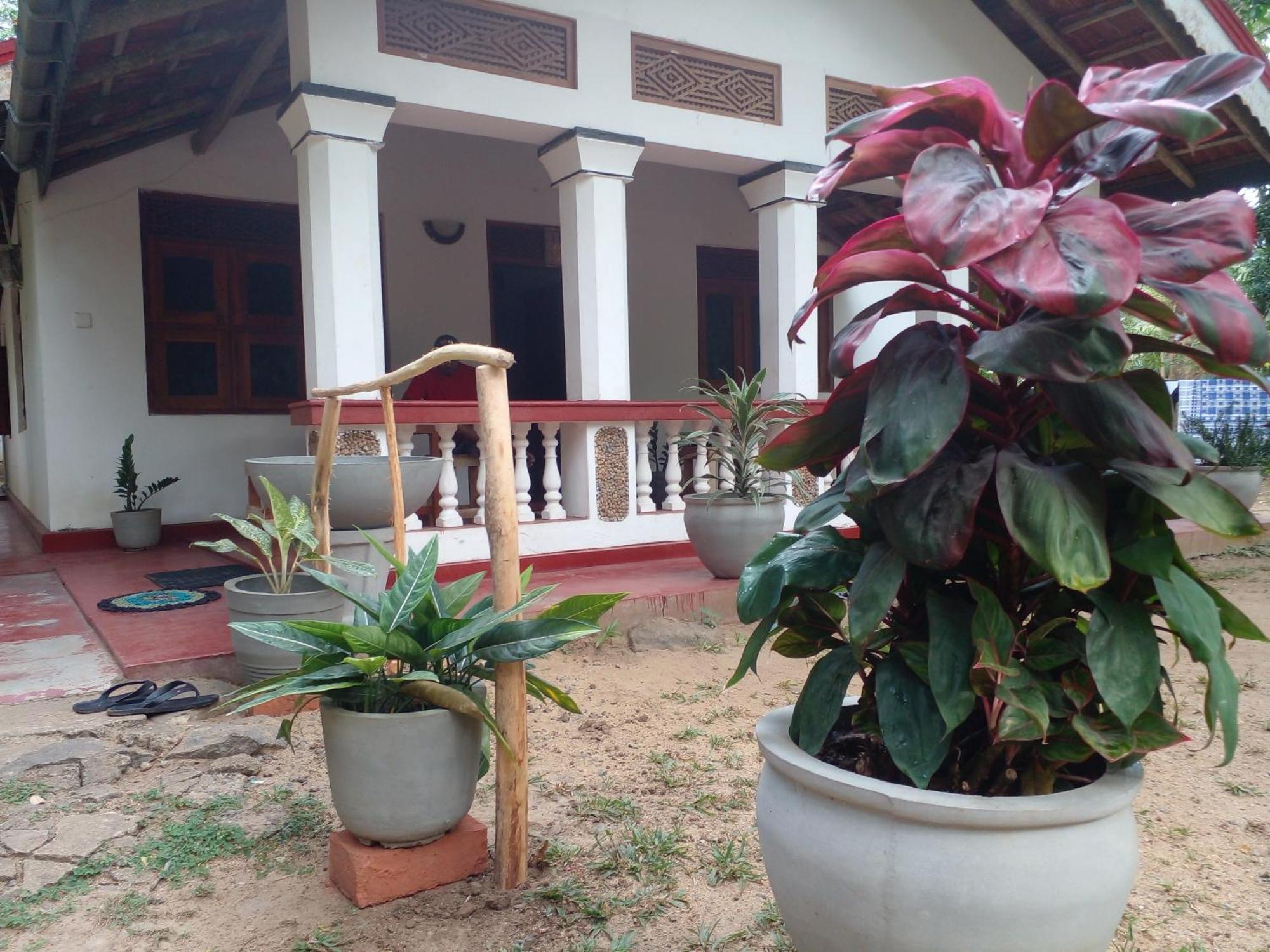 Hotel Golden Bell Tangalle Esterno foto